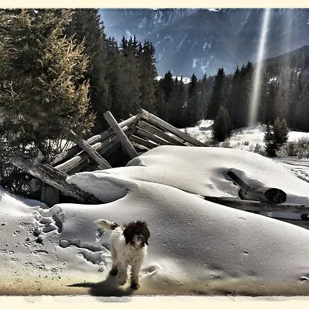 Bonderosa *