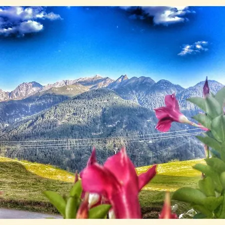 Bonderosa